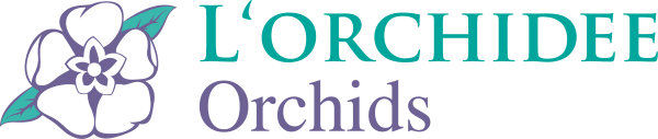 L’ORCHIDEE ORCHIDS